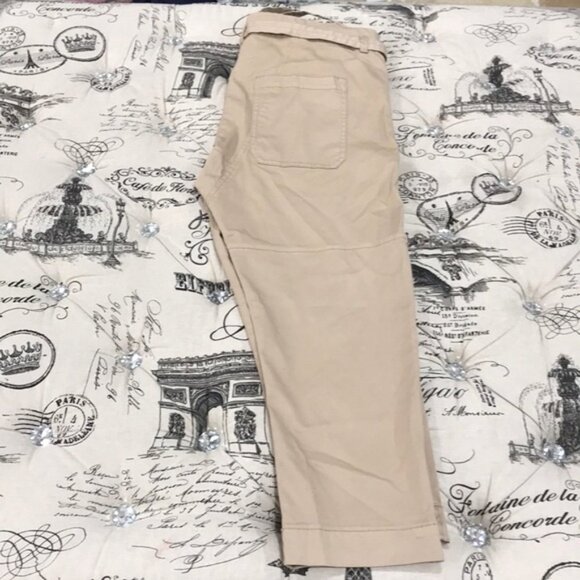 Joie Demarius Stretch Cotton Crop Pants - Picture 8 of 8